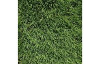FR.1 - CSI PREMIUM FOOTBALL & RUGBY PITCH GRASS SEED MIX
