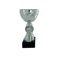 25cm Silver Cup