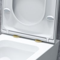 Tucker French Toilet Seat Hinge Covers Brushed Brass Finish