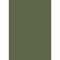 Farrow & Ball Bancha No.298 Colour Swatch