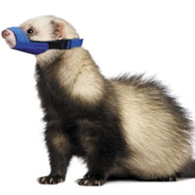 Quick Muzzle Ferret J.A.K Marketing