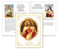 Book/My Favourite Novenas/Paperback   (40101)