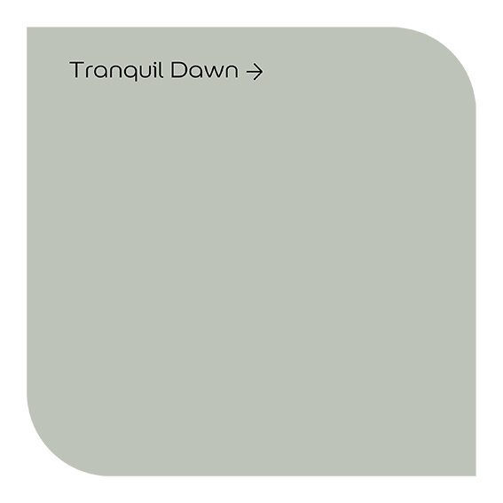 Dulux Easycare Washable Matt Tranquil Dawn Paint Pat McDonnell Paints