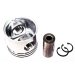 PISTON & PIN