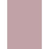 Farrow & Ball Cinder Rose Colour Swatch