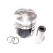 PISTON, PIN & CLIPS - STD