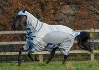 Sweet-itch X light 135 Silver