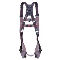 PIONEER 2 POINT HARNESS C/W QUICK RELEASE BUCKLES