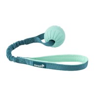 Coachi Puppy & Mini Tuggi Ball - Teal & Mint x 1