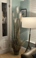 6ft High Reed Grass in Metal Pot - Green / White