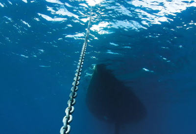 Fishing and Aquaculture Chains