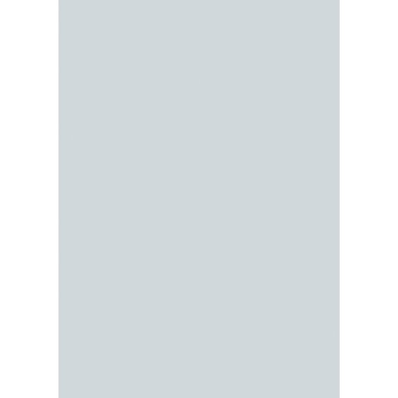 Farrow & Ball Borrowed Light Colour Swatch