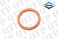 Sealing Ring 