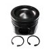 PISTON BODY C/W CLIPS