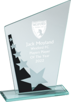 21cm 4mm Glass Plaque (Black with Stars)