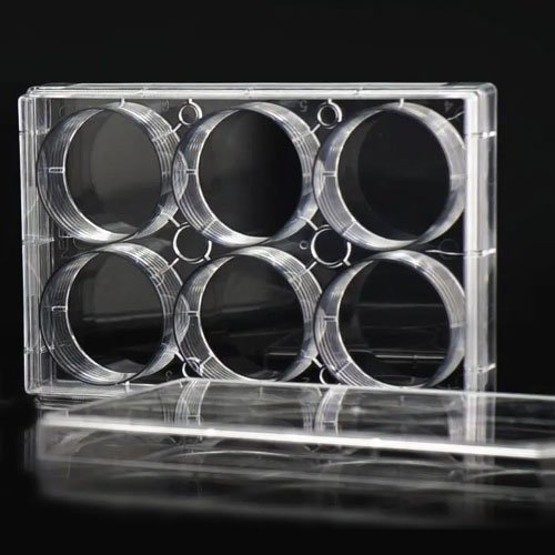 Cell Culture Plates WhiteSci