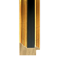 Gold With Black Line