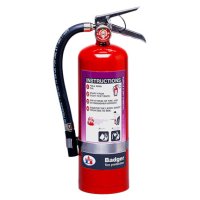 Badger 5 lb. Purple K Extinguisher w/Wall Hook (30B:C)