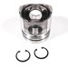 PISTON BODY C/W CLIPS