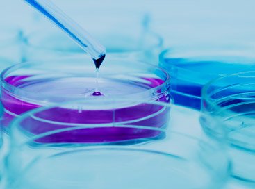 Cell Culture & Cell Biology