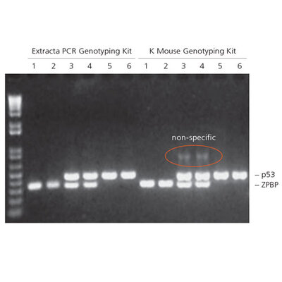 AccuStart II PCR Genotyping Kit, 500 Reactions