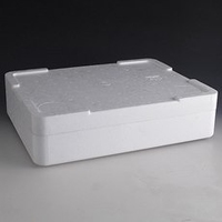 Polystyrene Insulating box
