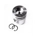 PISTON BODY C/W CLIPS
