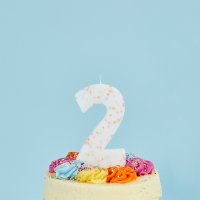 Giant Sprinkle Number '2' Candle