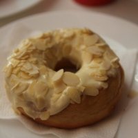 ALMONDS FLAKED 10 KGS