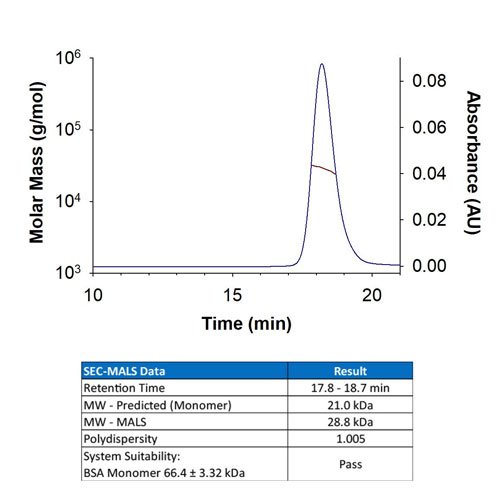 Protein, Recombinant Human Erythropoietin/EPO (Tissue Culture Grade), 500 units