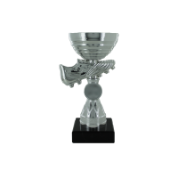 19cm Boot & Metal Bowl Trophy (V202S)