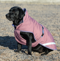 Freedom Dog Rug 300g, 55cm Black