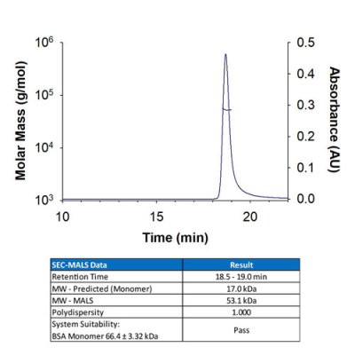 Protein, Recombinant Human TNF-alpha Protein, 100 &micro;g