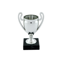 15cm Plastic Euro Cup on Black Marble