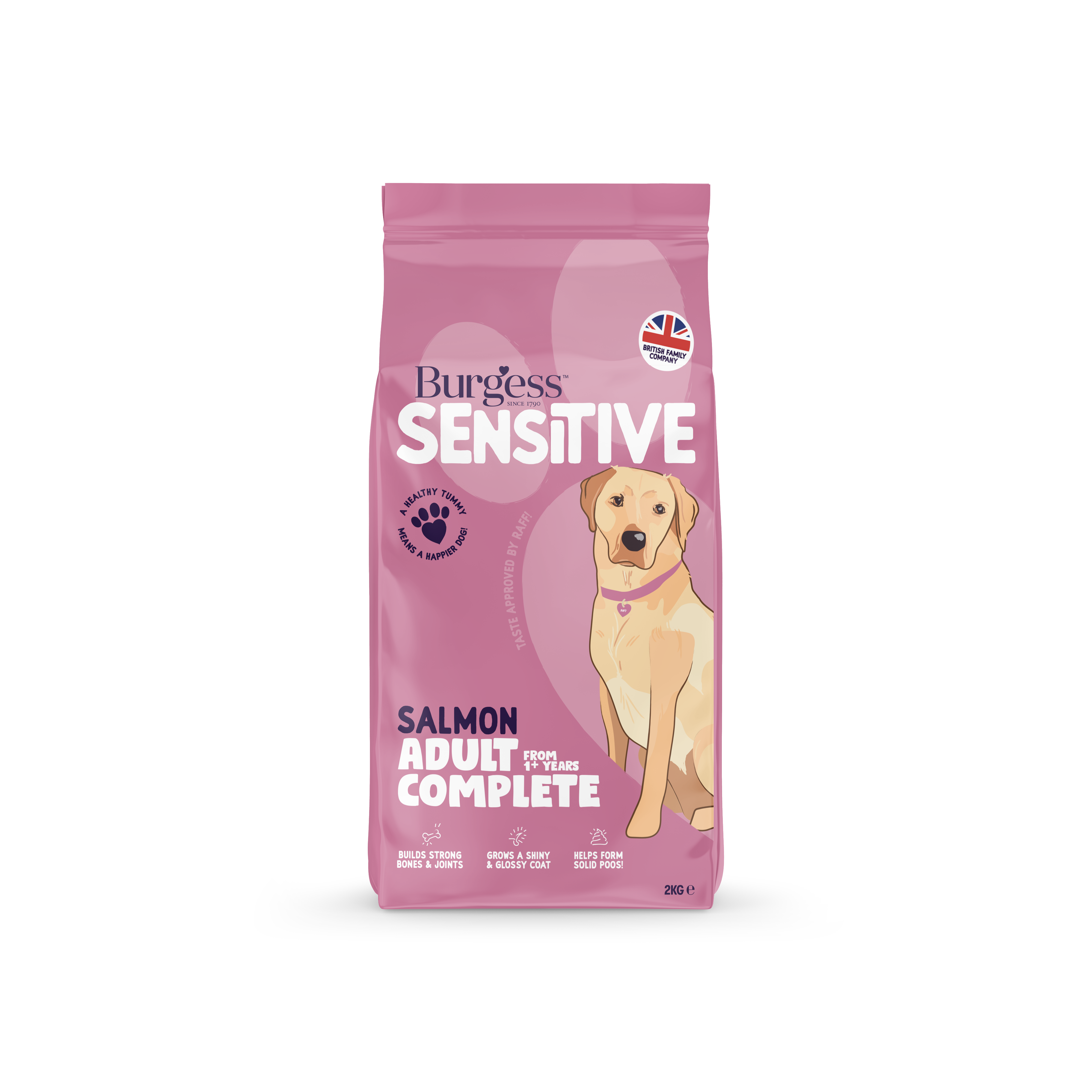 Burgess Sensitive Adult Dog Salmon 2kg