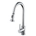 Bristan Apricot Professional Kitchen Sink Mixer Tap with Pull Out Hose and Spray APR PULLSNK C