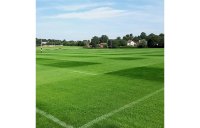 FR.3 - CONTRACTOR 3 WAY RYE GRASS SEED MIX