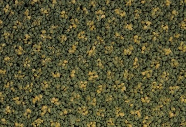 SPECTRUM DOT 438710 4M HEDGE GREEN