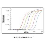 RT-qPCR Kit with SYBR-Green, FastKing One Step RT-qPCR, GFP313-01, 50 μl x 50 rxn