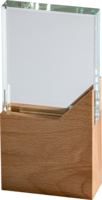 22cm Crystal & Wood Award (Satin Box)