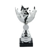 21cm Glenfarne Star Cup