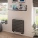 Addington-588-x-600-Radiator-Type21