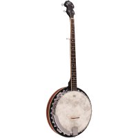 Barnes & Mullins Banjo "Perfect" 5 String