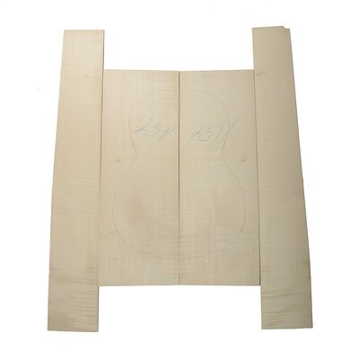 Guitar back and sides Maple / Sycamore