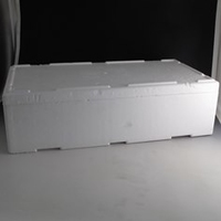 Polystyrene Insulating box
