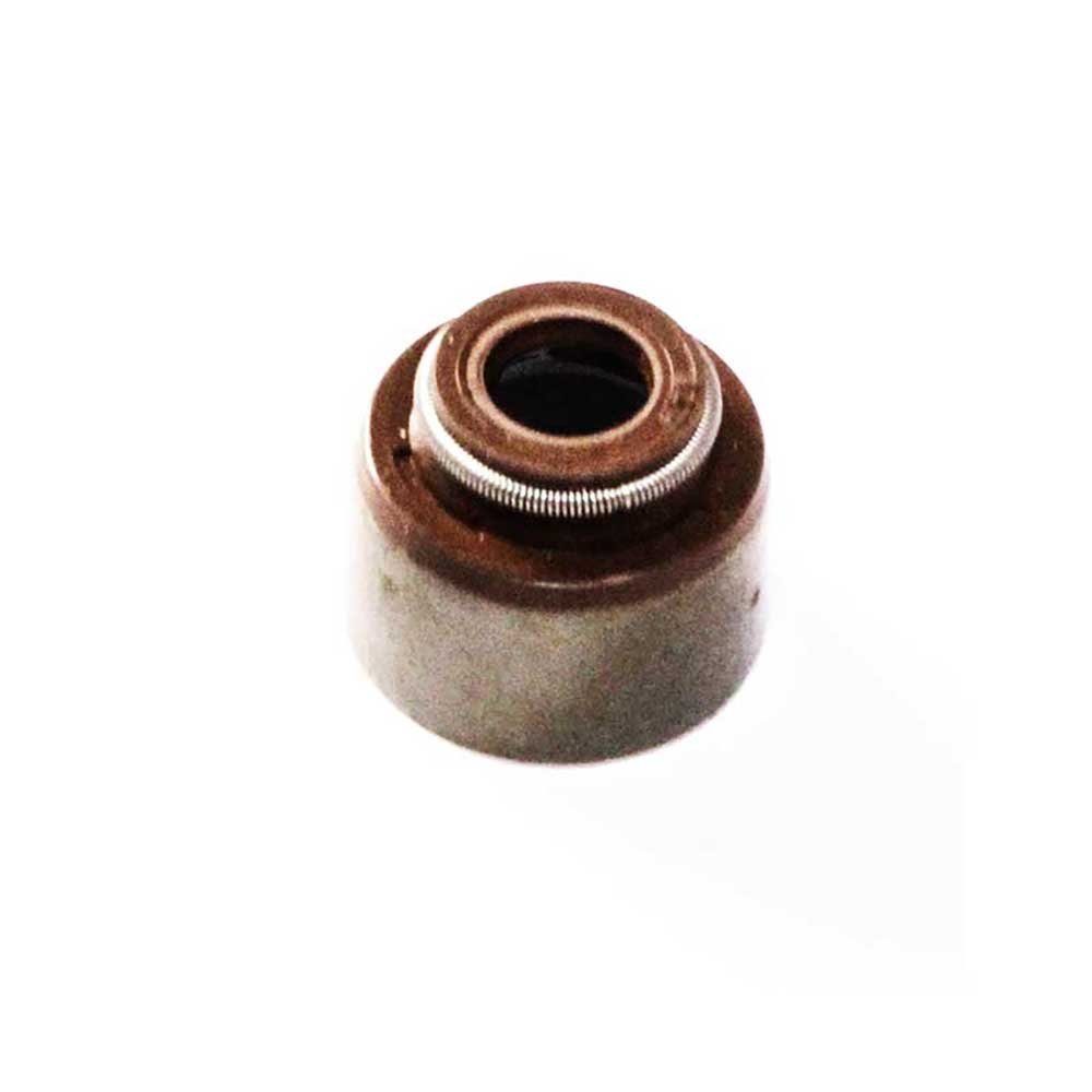 SEAL VALVE STEM