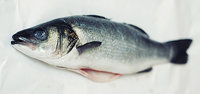 Frozen Whole Sea Bass Gilled & Gutted (600-800g)-Approx. 2kg