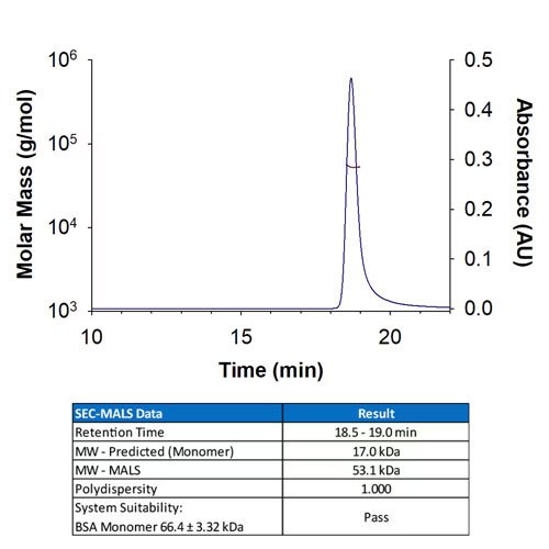 Protein, Recombinant Human TNF-alpha Protein, CF, 100 &micro;g