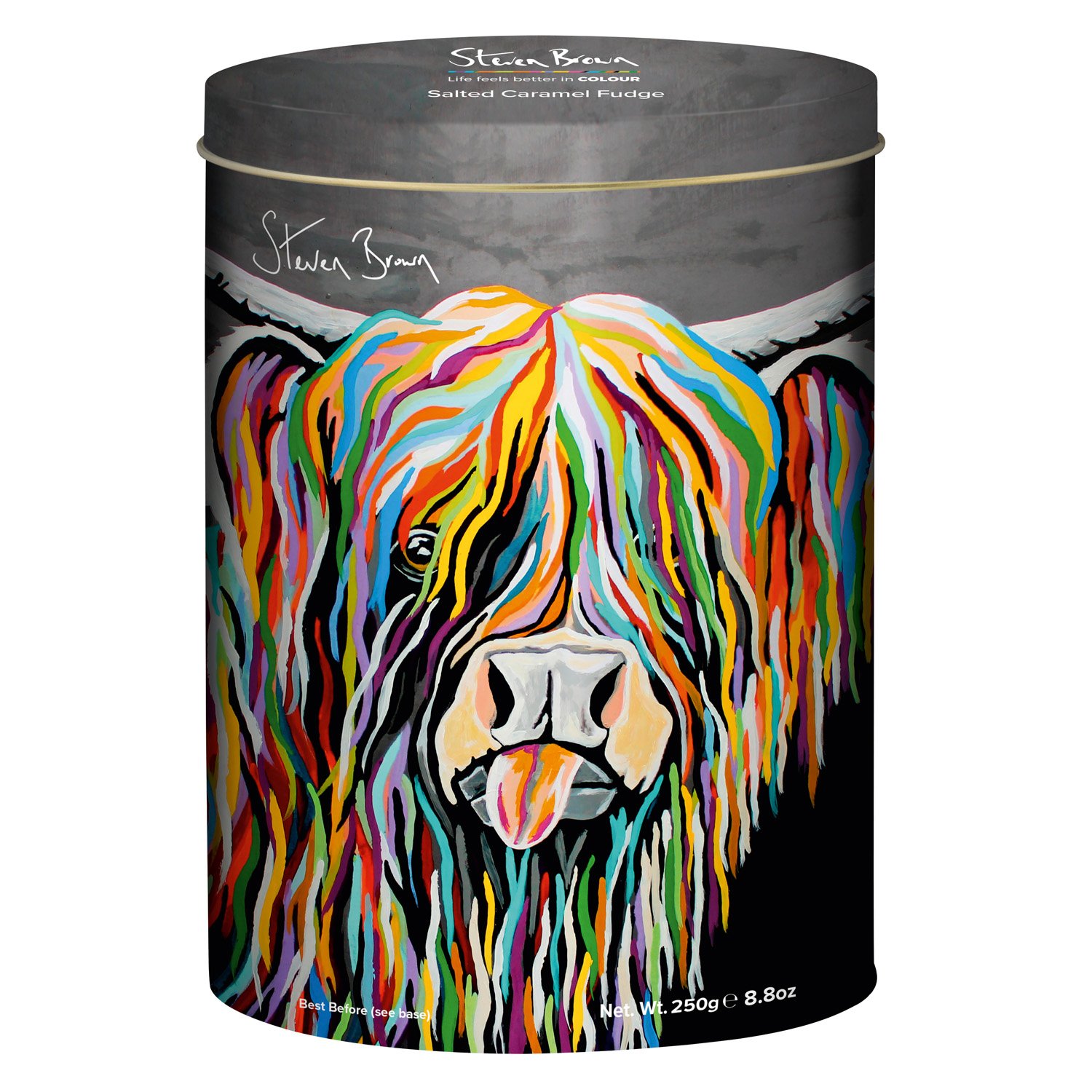 Steven Brown Senga McCoo oval tin of salted caramel fudge - 12x250g