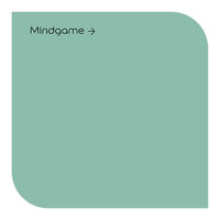 Signature Mindgame Vinyl Matt Colour Swatch